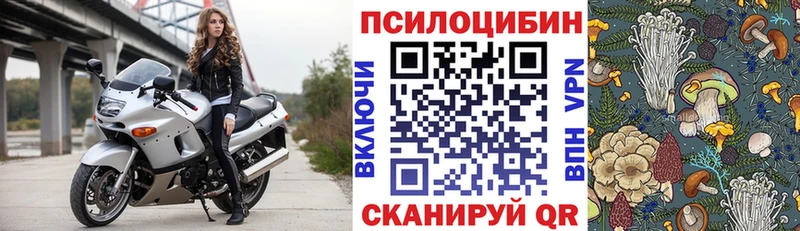 Купить закладки  Губкинский  Псилоцибиновые грибы Psilocybe 